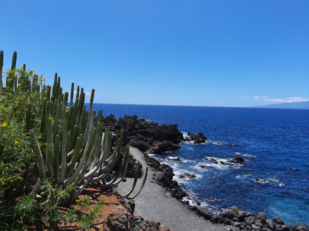 casitasur.es-tenerife-playa-san-juan-crique